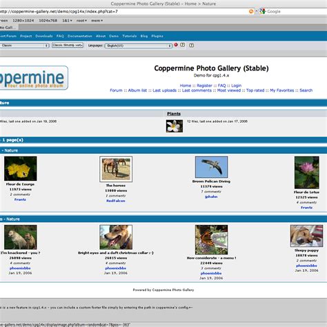 Coppermine Photo Gallery.